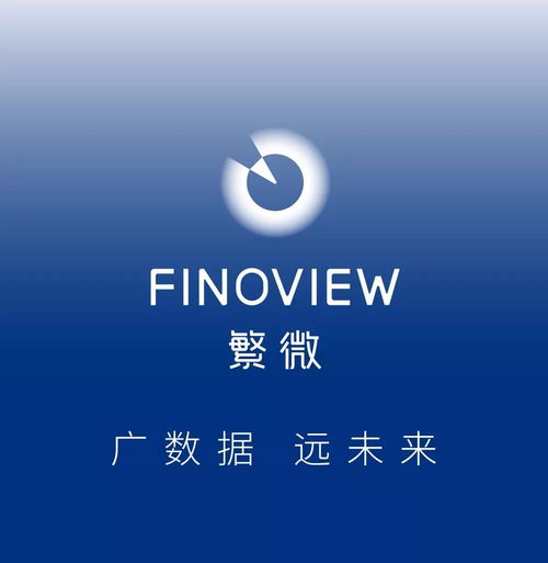 天氣擔憂引發美豆飆漲，網站建設及維護服務的啟示